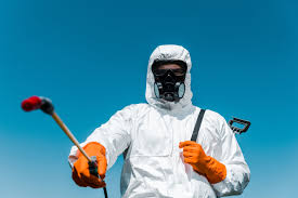 Best Bee and Wasp Removal  in Birch Run, MI